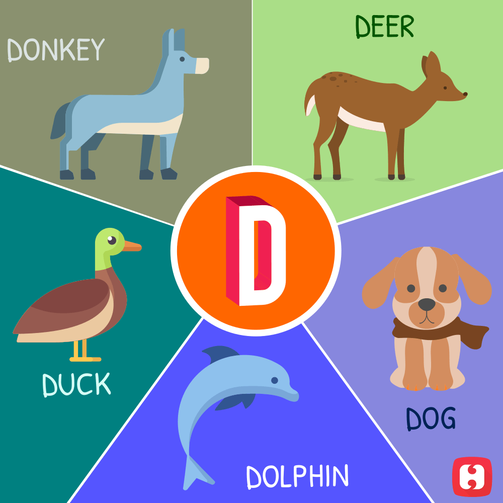 Animal And Bird Names A To Z